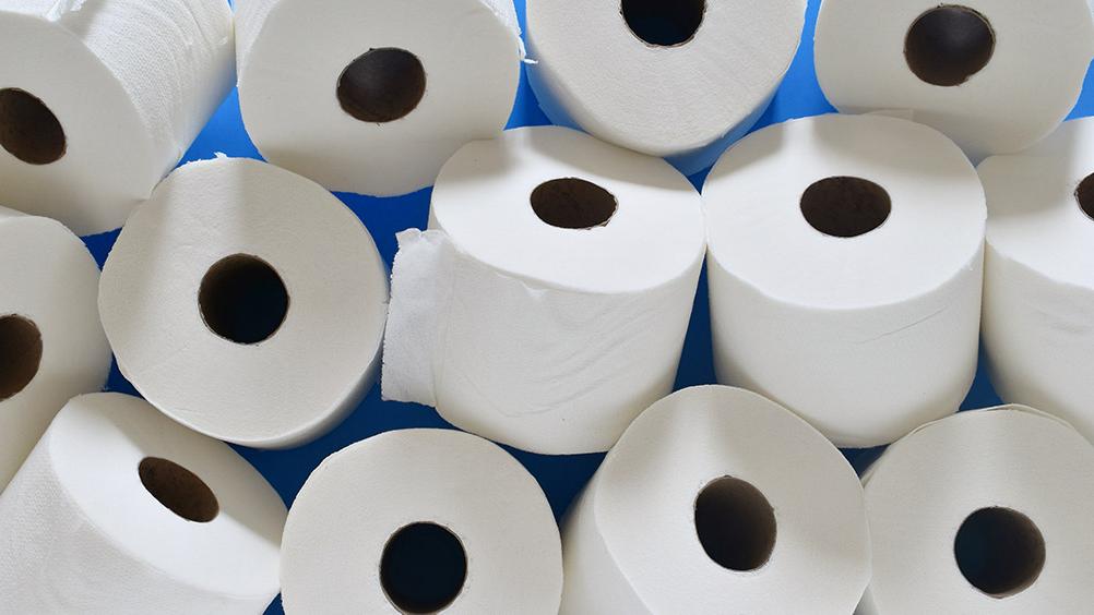 Rolls of toilet paper.